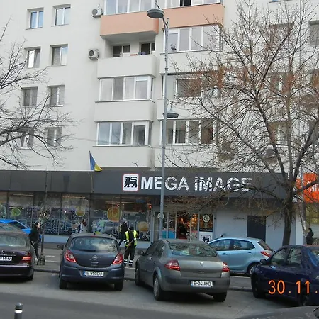 Apartment Amzei *